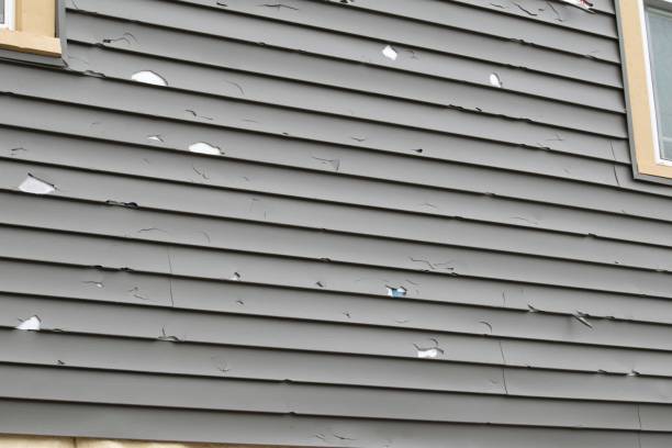 Affordable siding repair and maintenance services in Pelican Bay, TX